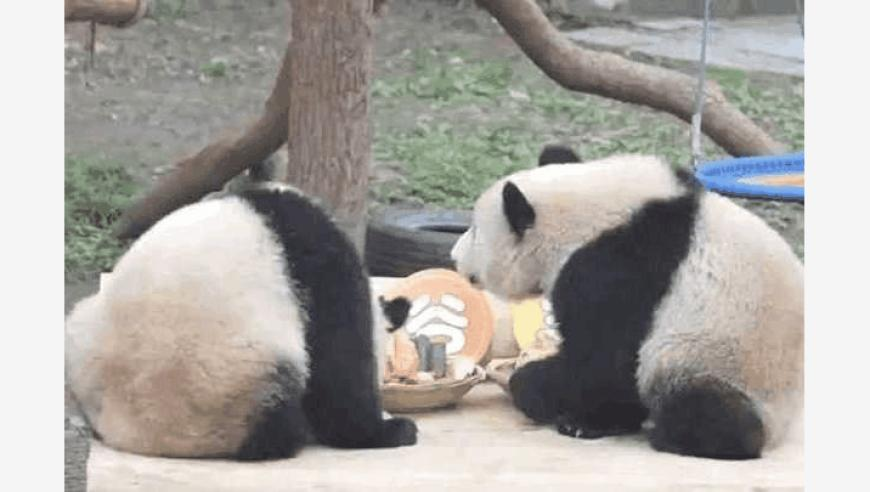 澳门今晚,泰国拟逮捕妙瓦底保护伞索奇督,决策资料解释落实_移动版V14.70
