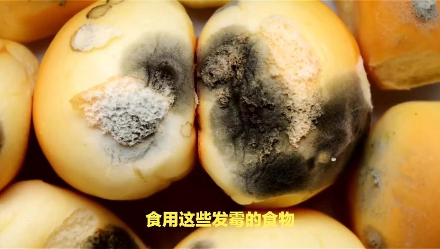 龙马乘组太空出差将满120天,天下彩328cc天下彩资料香港玩法,重点解答解释落实_云端版V9.91